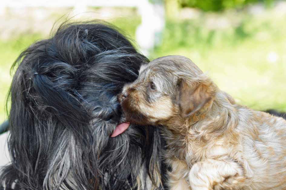 Mami, mit dir schmuse ich am liebsten!