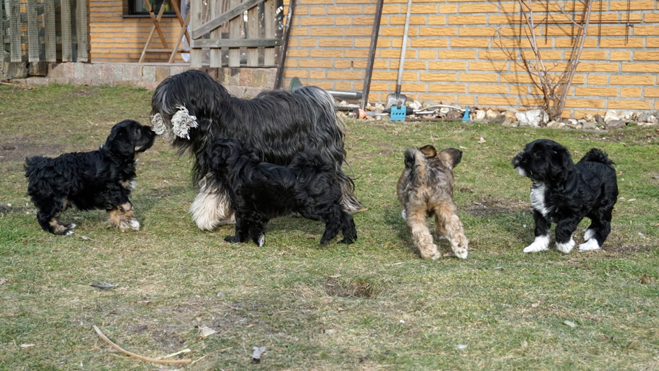 Yuma und ihre Mannschaft!