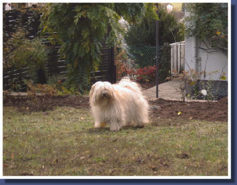 Panjara in ihrem neuen Garten