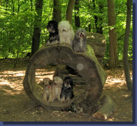 Waldspaziergang in Nalbach