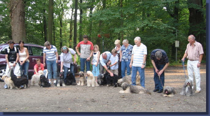 Gruppenbild mit Hunden